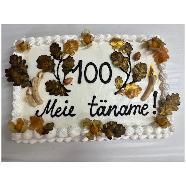Tort07.jpg